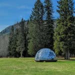 PXL_20240423_173248542~3